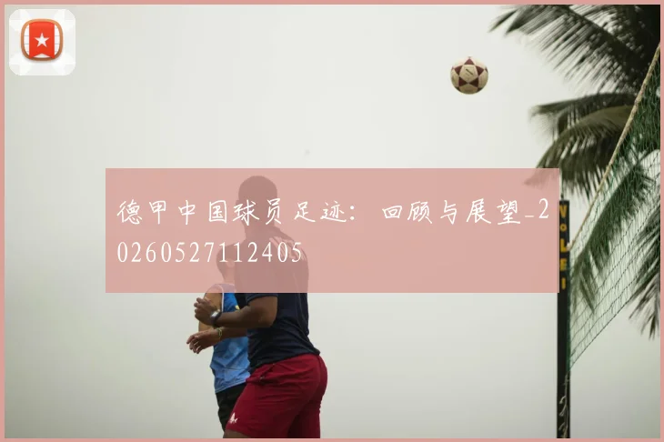 德甲中国球员足迹：回顾与展望_20260527112405